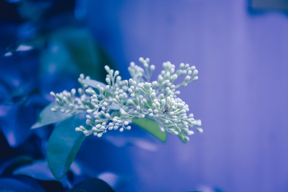 摄影课程作业（图ZMTQ3MzQxNzM2） - 其他平面 - 站酷设计师倔强如我原创素材 - 站酷ZCOOL