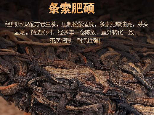 普洱茶详情