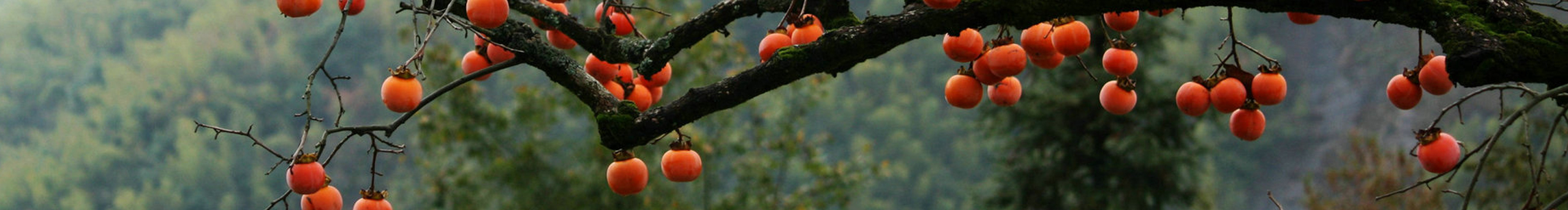 微尘疯语的个人主页（封面预览） - 主页封面设置 - 站酷设计师微尘疯语原创素材 - 站酷ZCOOL