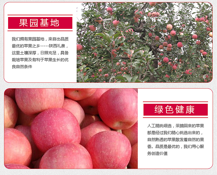 红富士苹果（图ZNjM2ODQzMzY=） - 电商 - 站酷设计师楠楠花语原创素材 - 站酷ZCOOL