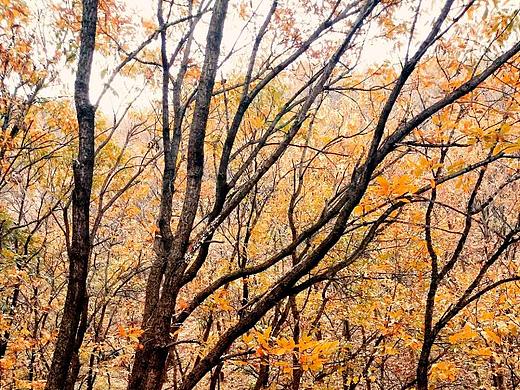 登封少室山（個人主頁-ZMjQ5NTA4MDg=） - 風(fēng)光攝影 - 站酷設(shè)計(jì)師踢出個未來原創(chuàng)素材 - 站酷ZCOOL