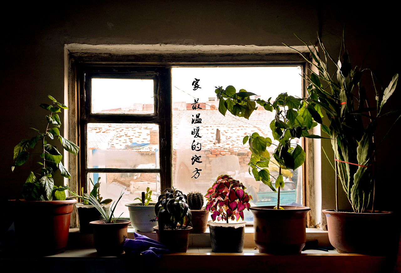 暖（图ZMTA0OTgwNzk2） - 人文/纪实摄影 - 站酷设计师花飞鱼原创素材 - 站酷ZCOOL