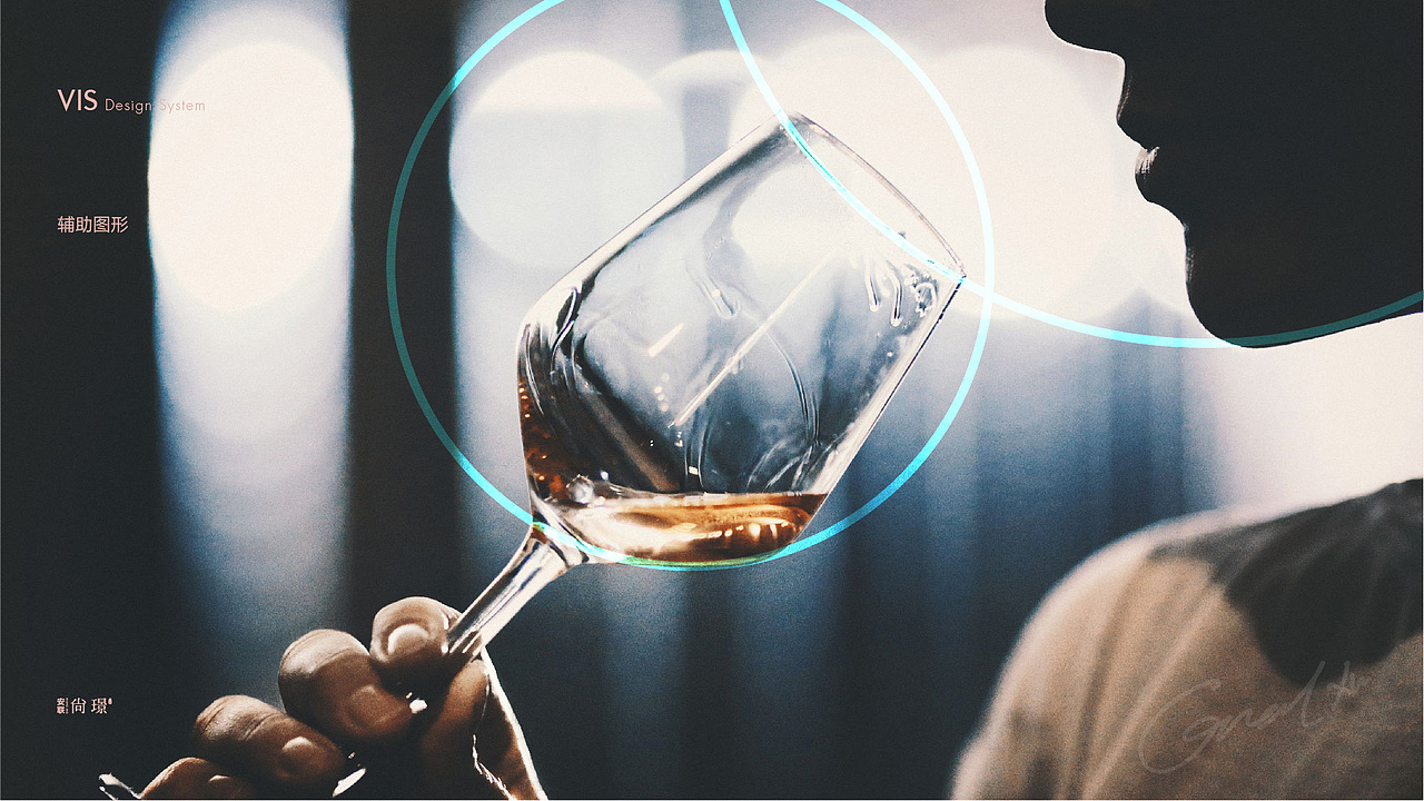 安联·尚璟VI视觉