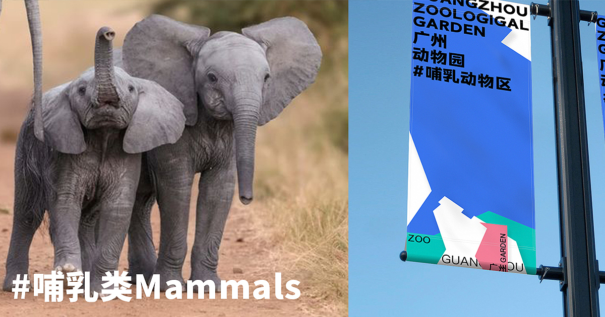 品牌设计—广州动物园品牌形象再设计（图ZMjQyNzUxNzA4） - 品牌 - 站酷设计师怂猫不加塞原创素材 - 站酷ZCOOL