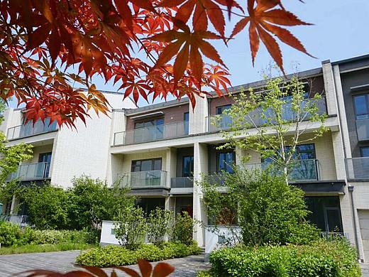 偷得几日闲暇 与家人好友 相约十此 【春风十里苏里人家】  