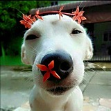 南千禧1的头像
