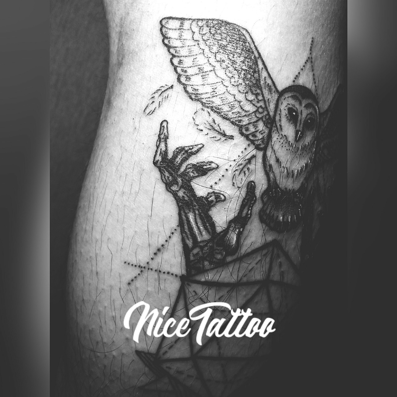 【NICE TATTOO】猫头鹰（图ZNjg2NDc4MDQ=） - 工艺品设计 - 站酷设计师NiceTattoo原创素材 - 站酷ZCOOL