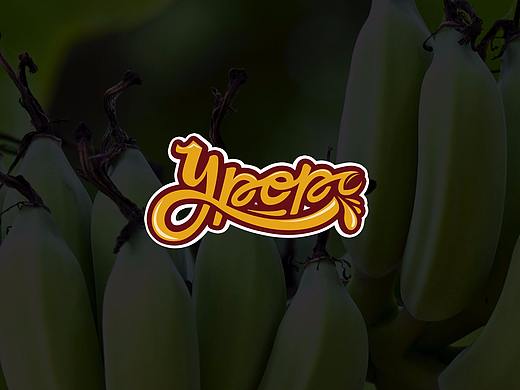 云婆婆鲜果连锁品牌设计