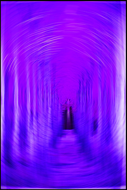 森林的N种玩法~（图ZMTU3NDE1NDAw） - 新锐潮流插画 - 站酷设计师静默如水原创素材 - 站酷ZCOOL