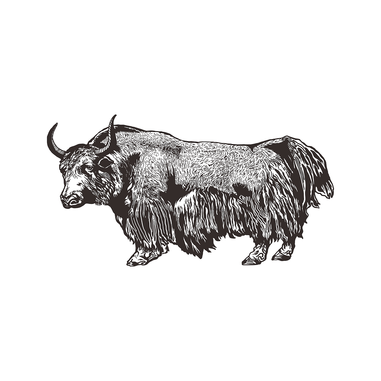 牛羊插画（图ZMTY2NTAwMTMy） - 创作习作 - 站酷设计师灰豆子原创素材 - 站酷ZCOOL