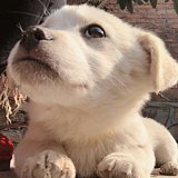 十一是时一啊的头像