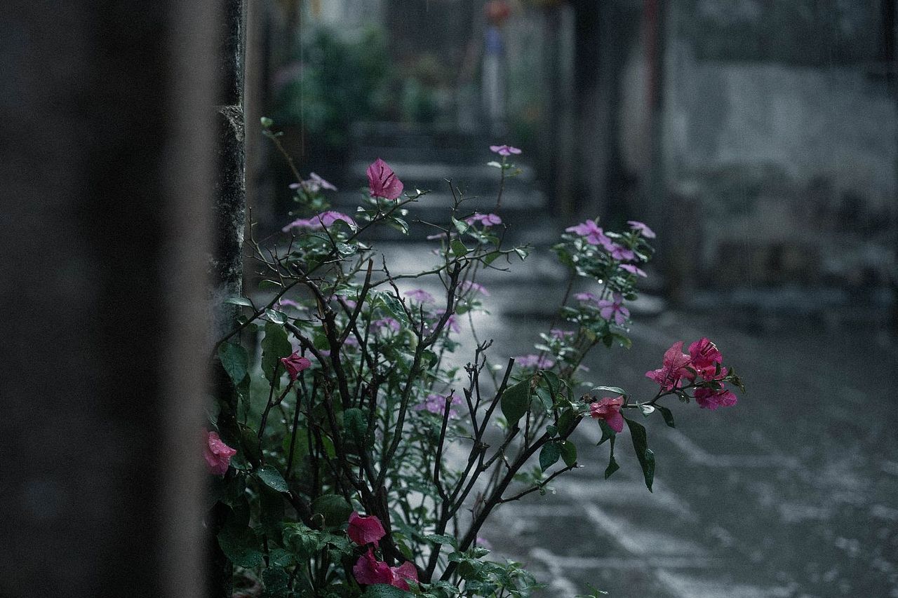 摄影记录2（图ZMzY2MTk2MjAw） - 风光摄影 - 站酷设计师小安仔来了原创素材 - 站酷ZCOOL