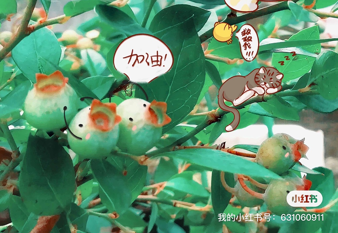 为了蓝莓宝宝～（图ZMzE0ODgyNjE2） - 艺术插画 - 站酷设计师大恶Dae原创素材 - 站酷ZCOOL