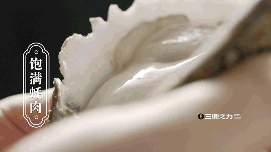 美食视频 | 尚竹阁 X SANDING（图ZMzExNjc2MjUy） - 短片 - 站酷设计师三鼎之力影视部原创素材 - 站酷ZCOOL