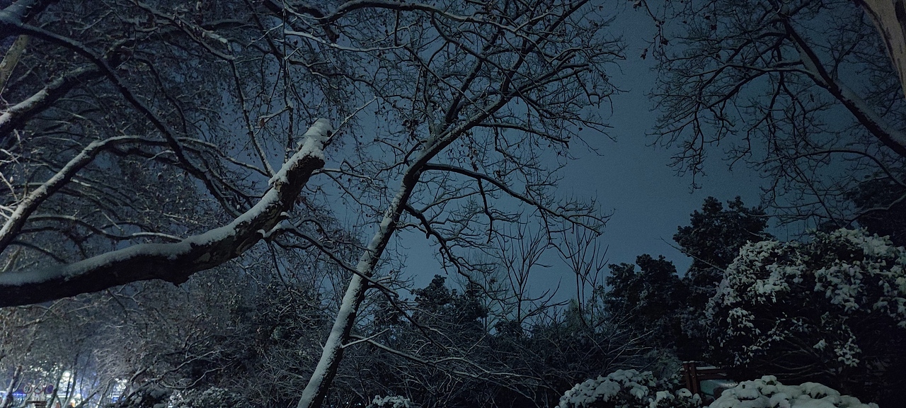 夜晚的中山陵雪景