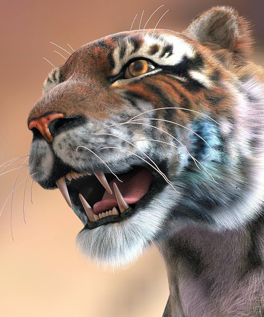 虎- 原创作品 - 站酷(zcool)