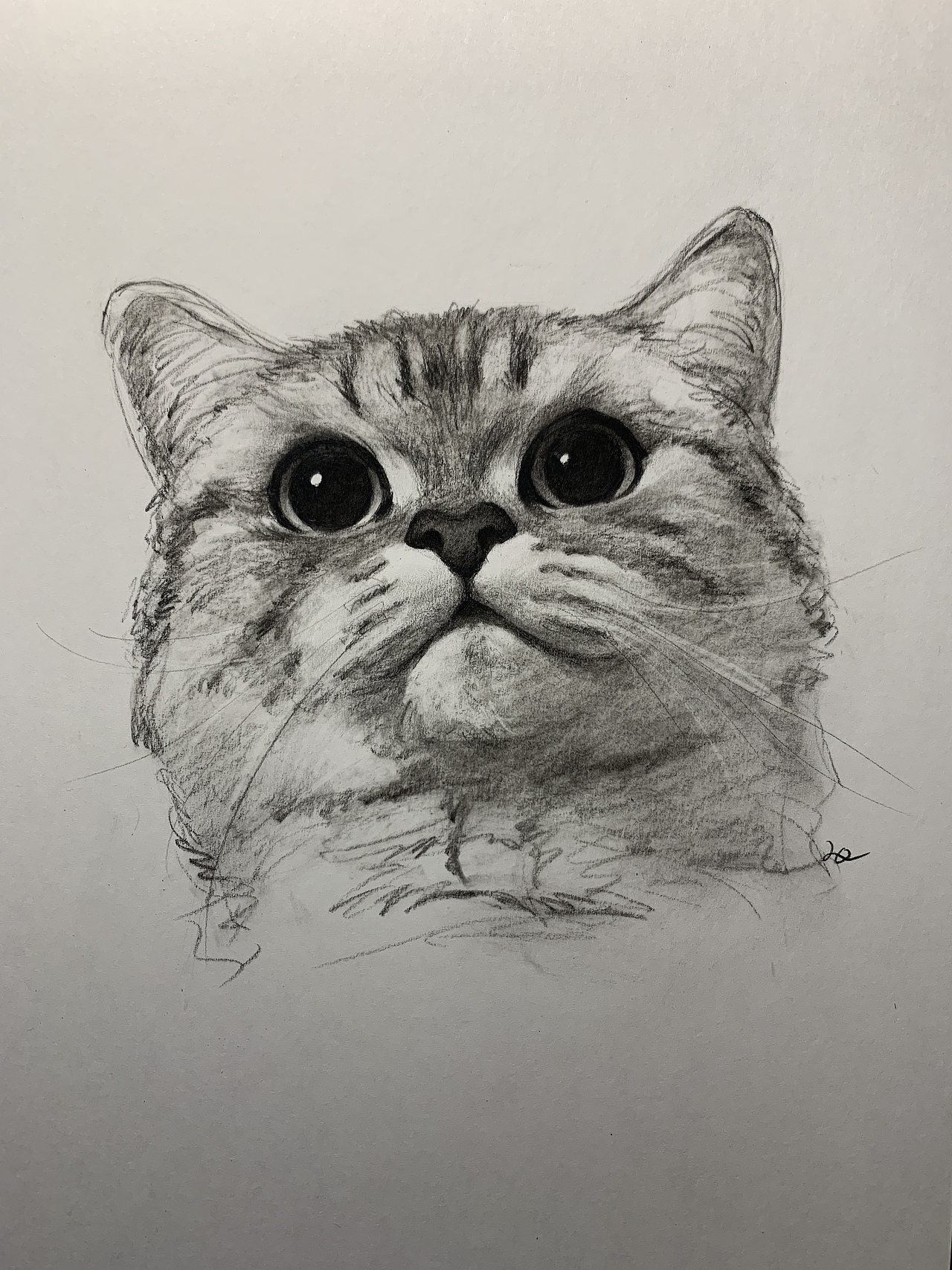 画一些小动物（图ZMjQzNTYwNjky） - 艺术插画 - 站酷设计师画画的3七原创素材 - 站酷ZCOOL