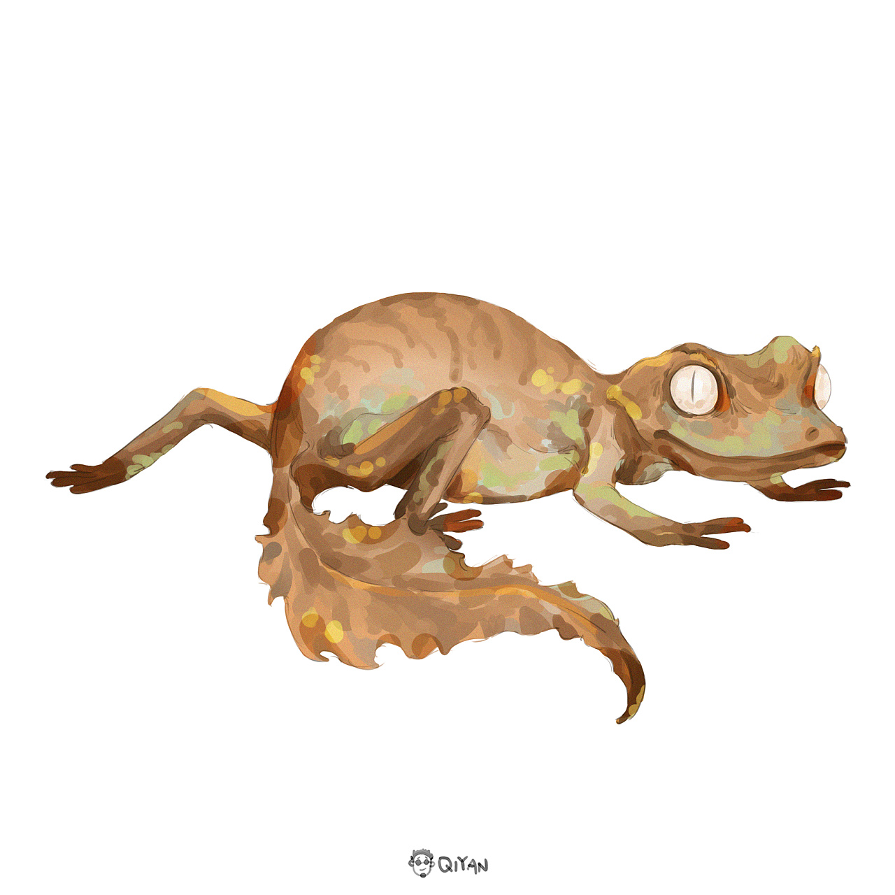 撒旦叶尾守宫( 学名:uroplatus phantasticus)