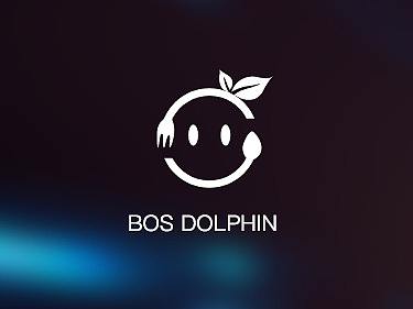 bos app界面