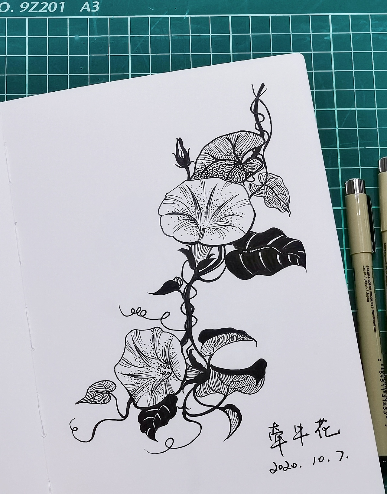 针管笔线稿（图ZMjQyNTMzNjA4） - 创作习作 - 站酷设计师南山绘原创素材 - 站酷ZCOOL