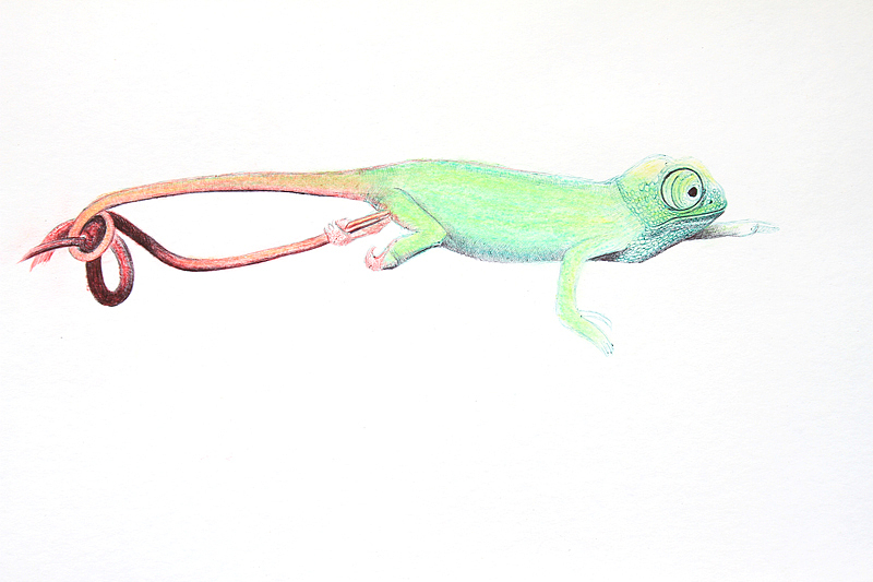 OY手绘:近期习作、圆珠笔画、彩铅画、涂鸦...