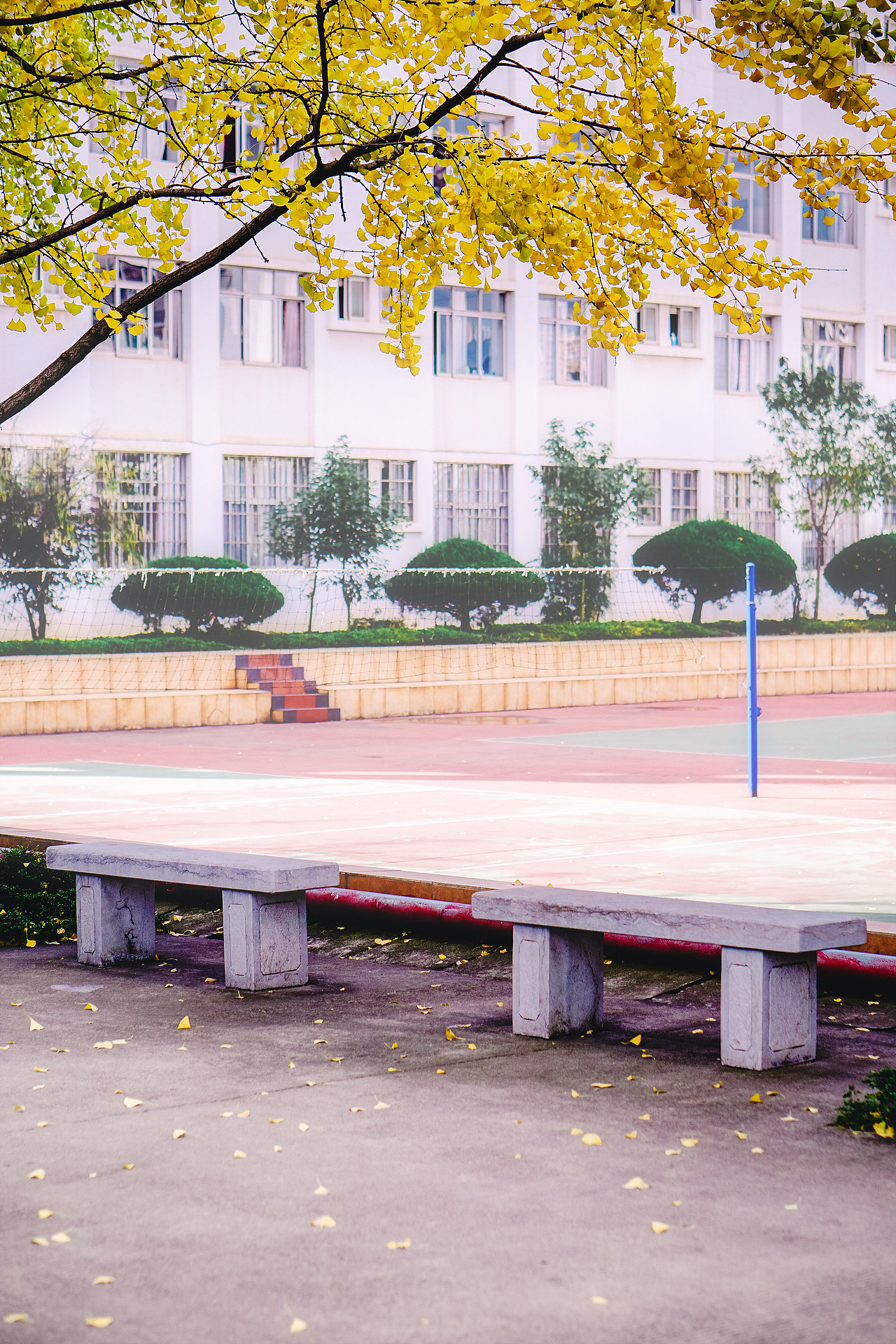 師大附中，母校生快（圖ZMTA2OTc4MDY0） - 風(fēng)光攝影 - 站酷設(shè)計(jì)師adkda原創(chuàng)素材 - 站酷ZCOOL