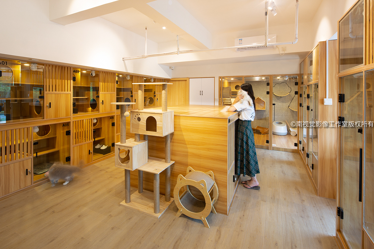 南京仙林宠物店室内照片南京空间摄影南京空间拍摄