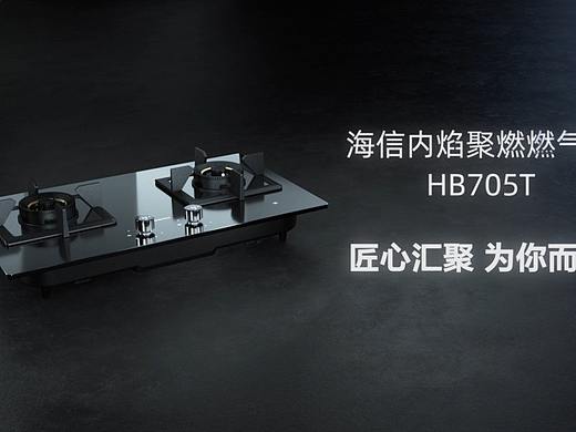海信内焰聚燃燃气灶