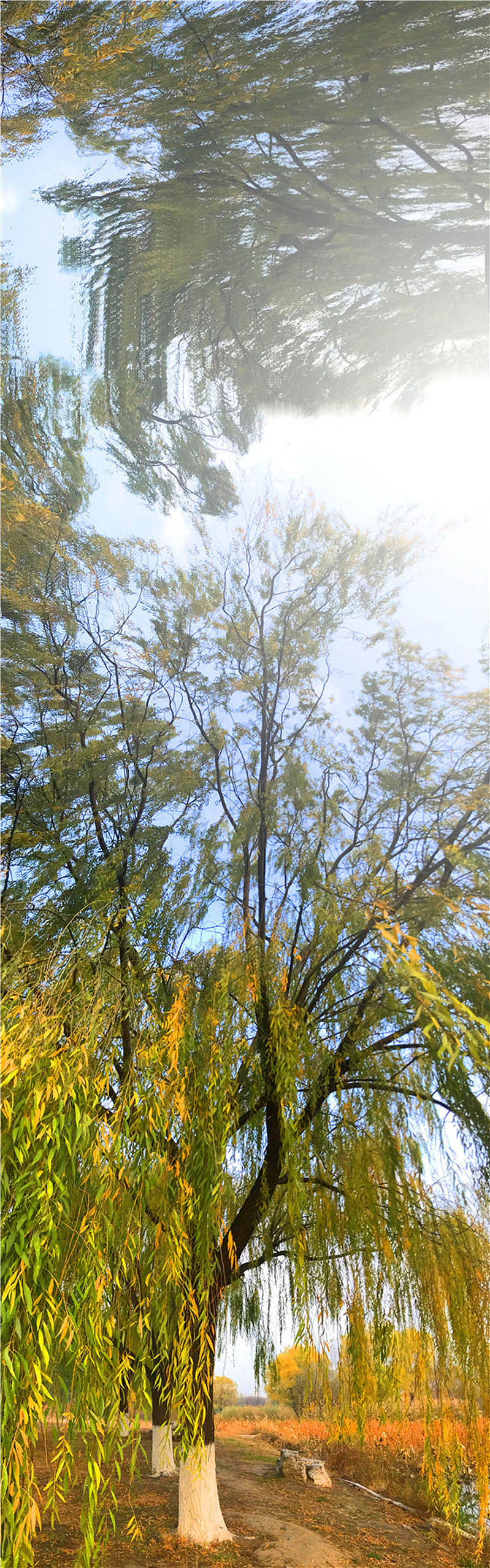 刘勇良手机纪实摄影:北京初冬的早晨