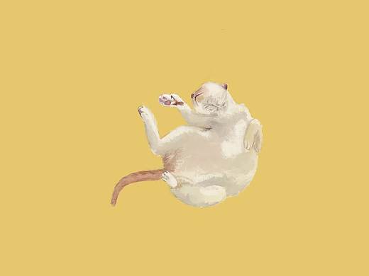 懶貓一只（個(gè)人主頁(yè)-ZNTQwNjk1NTY=） - 繪本 - 站酷設(shè)計(jì)師閃一閃發(fā)光原創(chuàng)素材 - 站酷ZCOOL