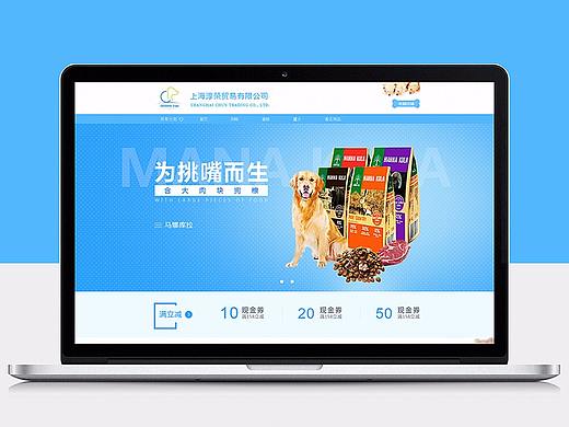 电商店铺装修-上海淳荣贸易有限公司