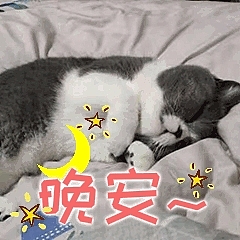 第二套微信表情包上架啦