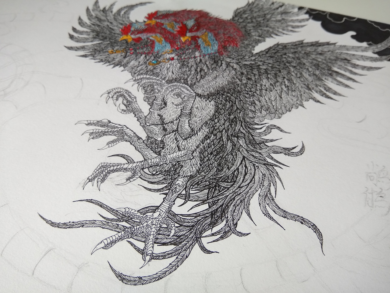 20191122山海经南山经尚鸟付鸟