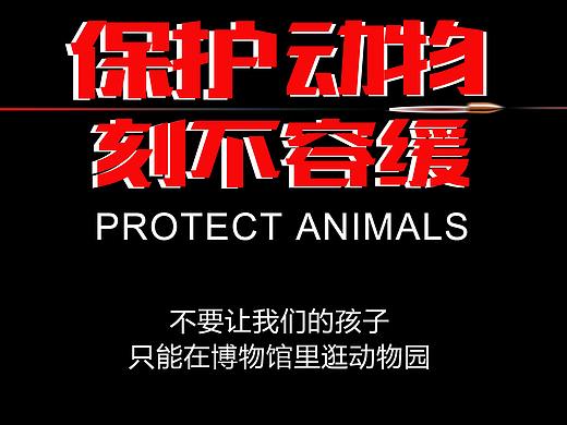 保护动物宣传海报