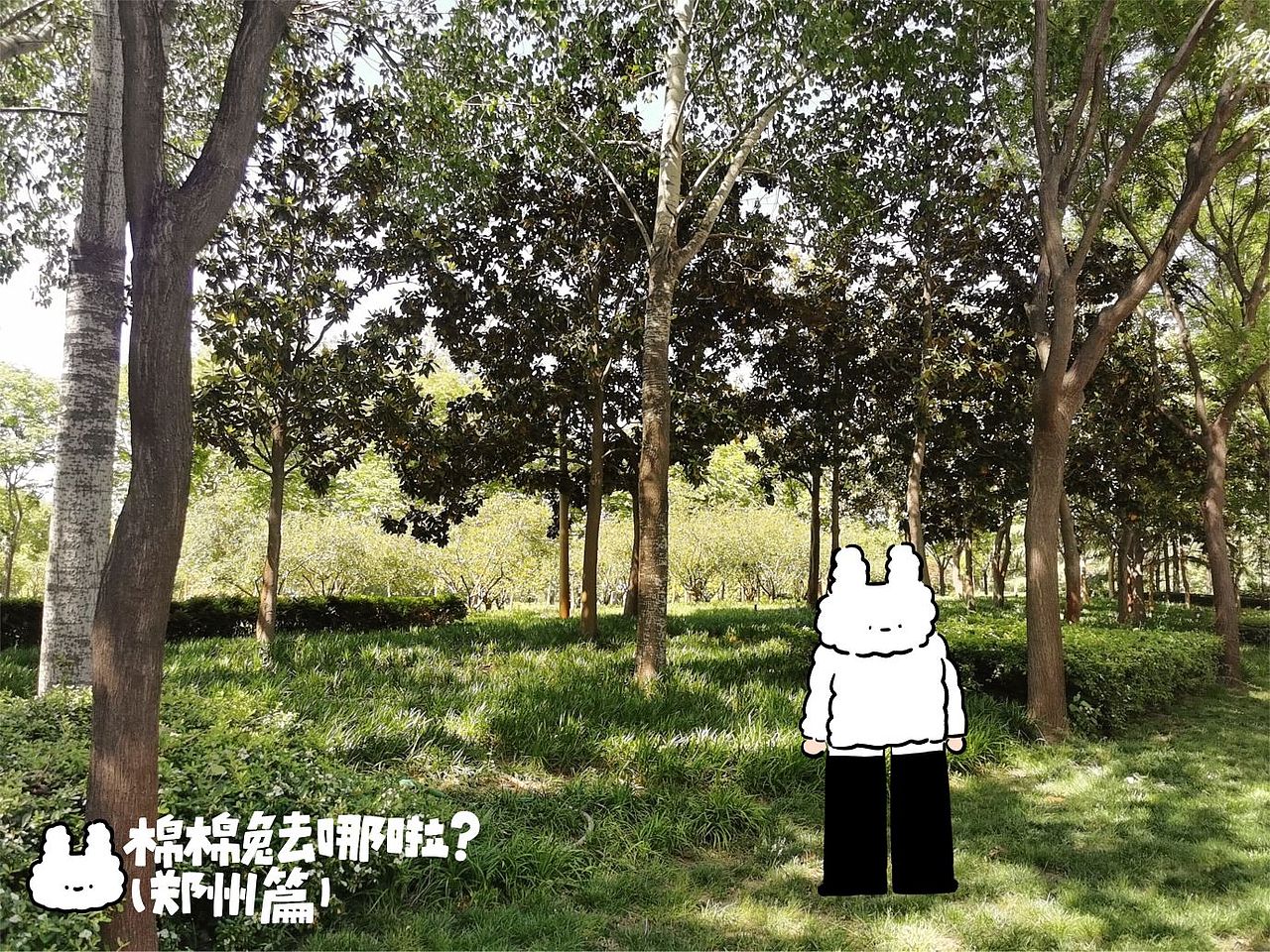 棉棉兔的写真馆