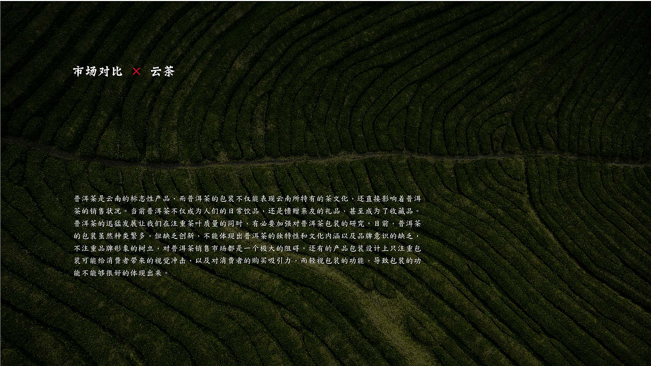 云香四季 - 古树普洱&老班章 包装全案