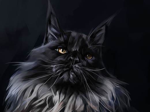 森林猫