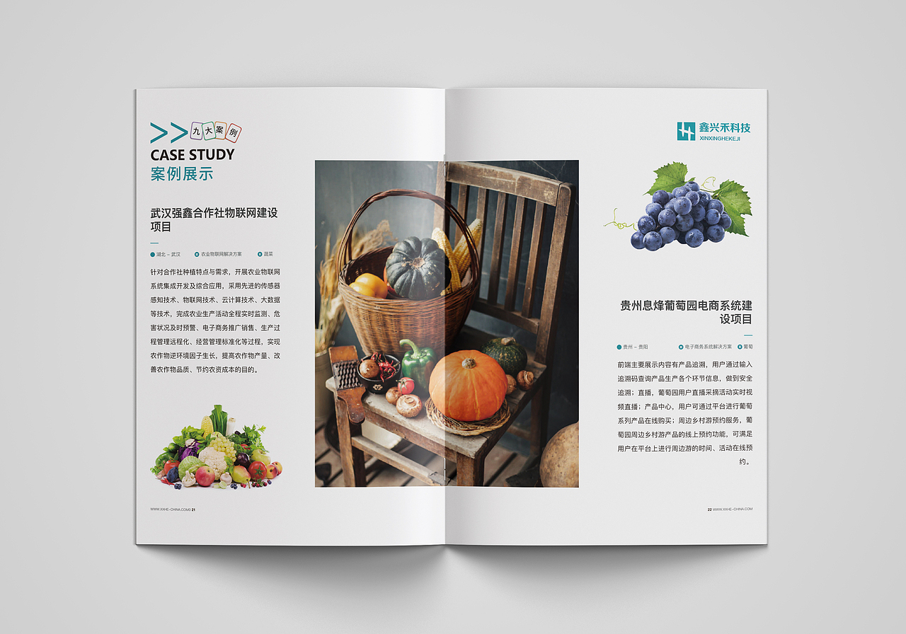 企业宣传册（图ZMTM2NzM2MTY0） - 书籍/画册 - 站酷设计师飞天小BUG原创素材 - 站酷ZCOOL