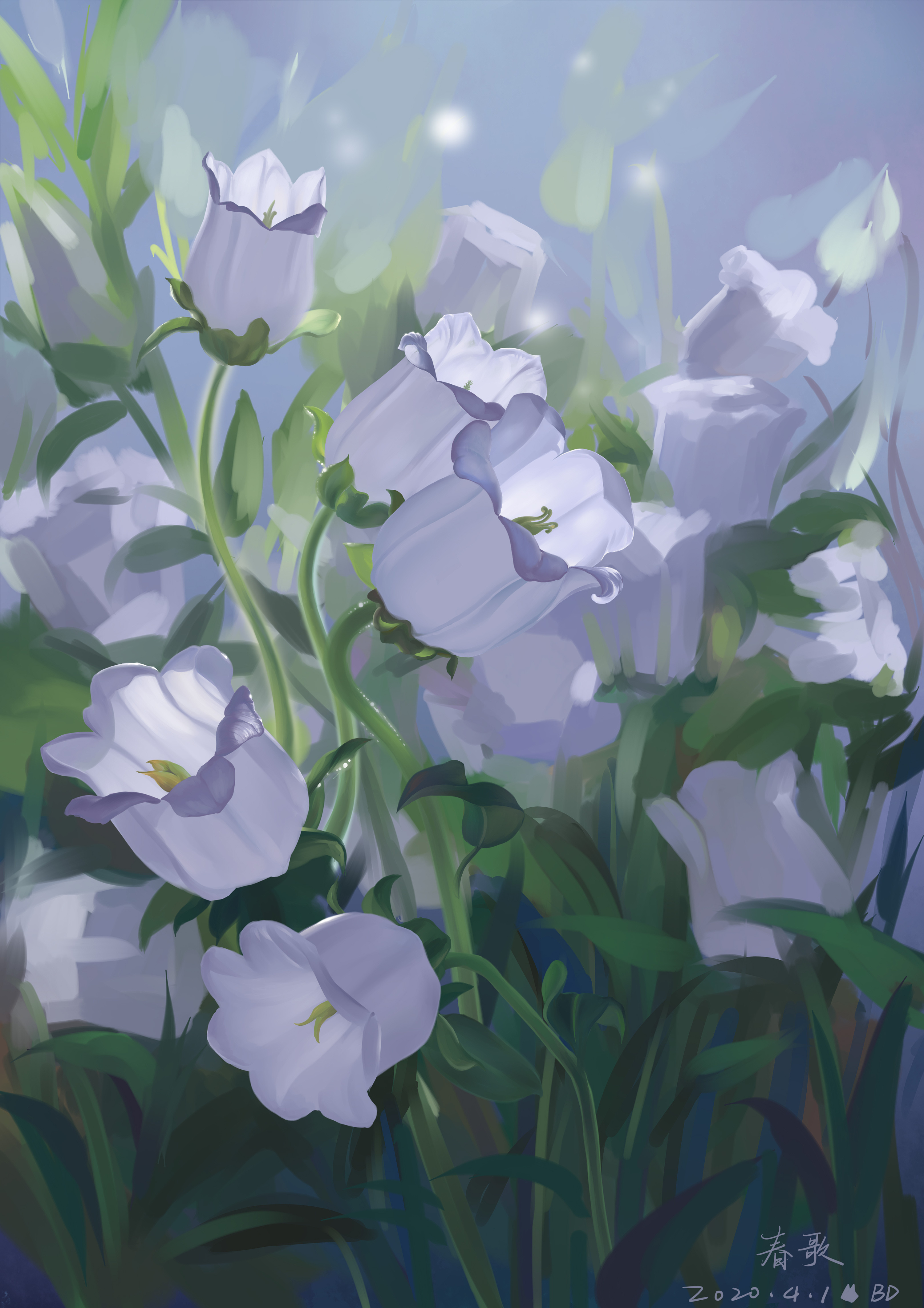 风铃花从中的春歌|插画|创作习作|黒豿 - 原创作品 - 站酷 (zcool)
