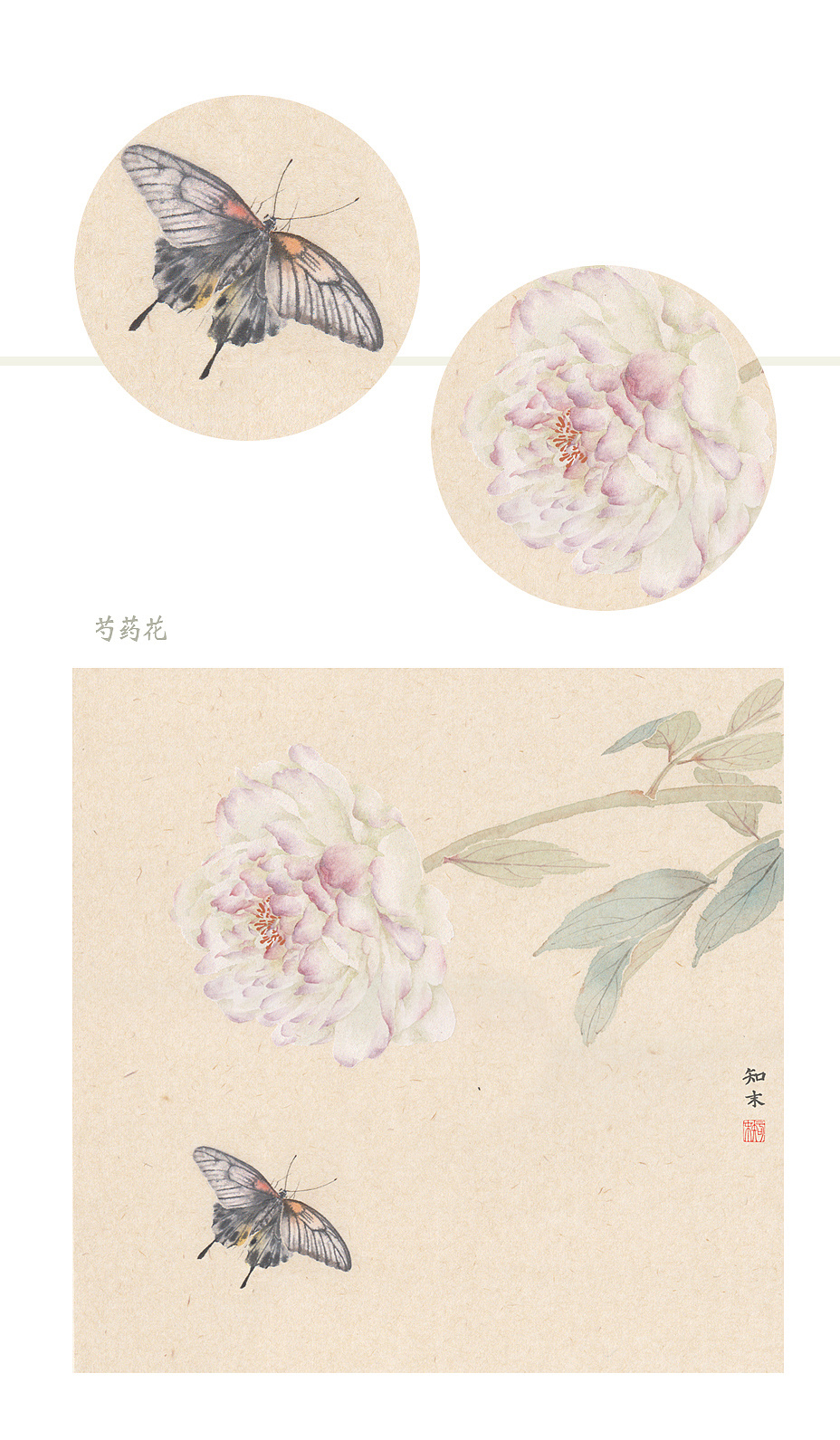 一组没骨蝴蝶(附蝴蝶出现过程)|纯艺术|绘画|知末 - 原创作品 - 站酷