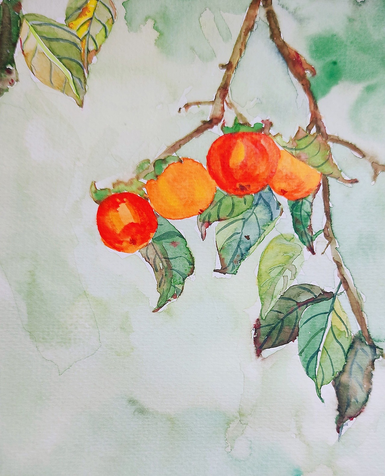 日常练习，最近在忙着画作业（图ZMzIzNjUzMDM2） - 创作习作 - 站酷设计师欣呀小欣原创素材 - 站酷ZCOOL