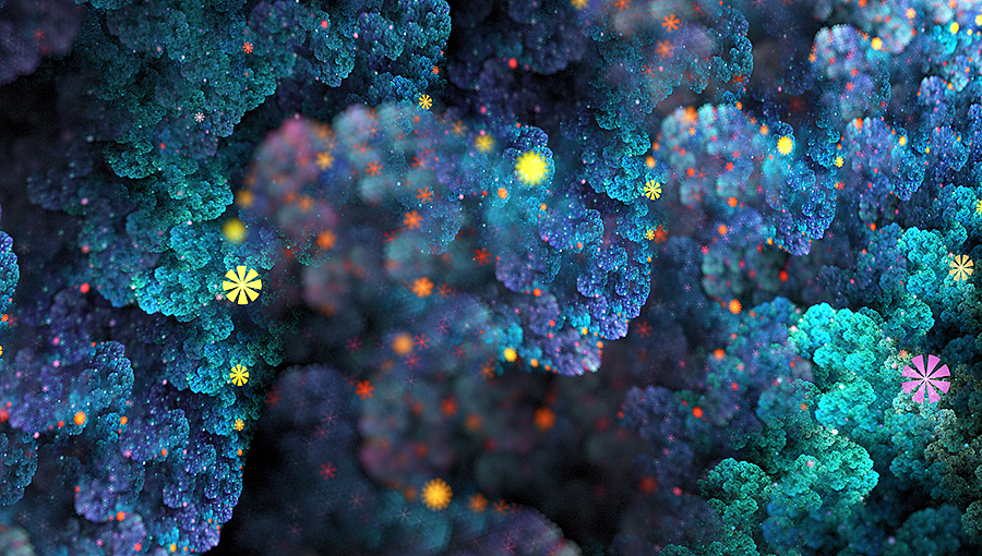 分形(Fractal)第二十七辑:花与叶