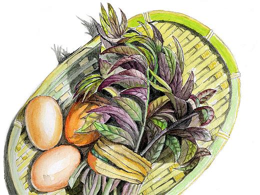 野菜小品——香椿头
