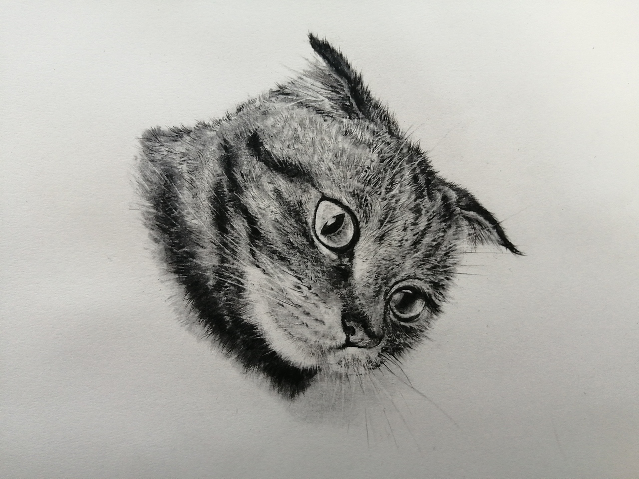 喵（图ZMTg4MDgzNzk2） - 绘画 - 站酷设计师老大哥在看你原创素材 - 站酷ZCOOL