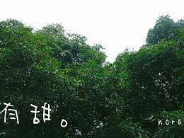 室内设计风格