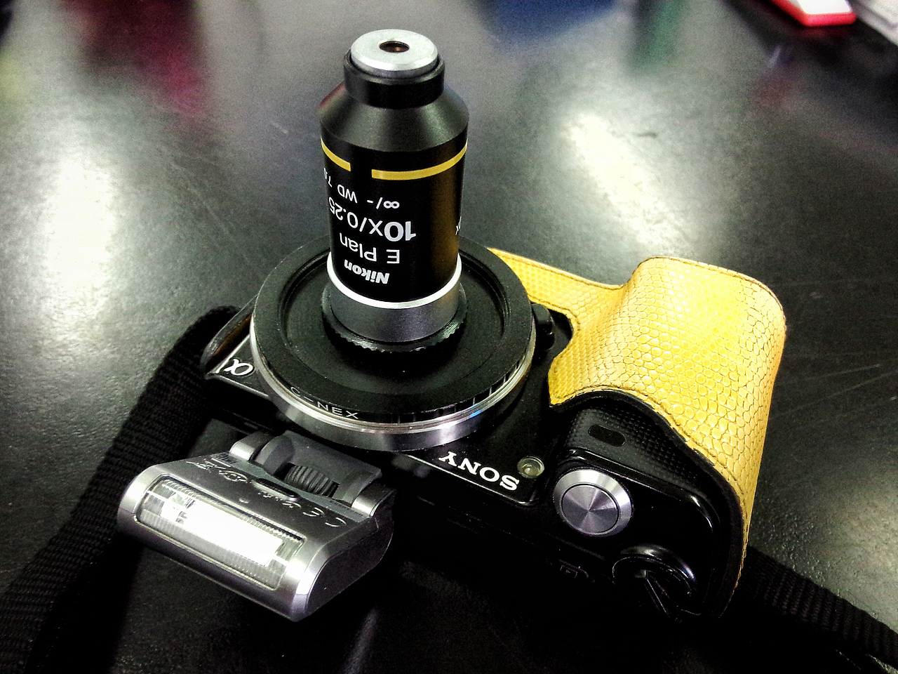 使徒“灿鸿”来袭（图ZMzA3Mzc1MTY=） - 其他摄影 - 站酷设计师浮沉流星原创素材 - 站酷ZCOOL