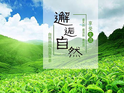 茶葉電商詳情頁（個人主頁-ZMjUwNjE0NDg=） - 電商 - 站酷設計師七月summer原創(chuàng)素材 - 站酷ZCOOL