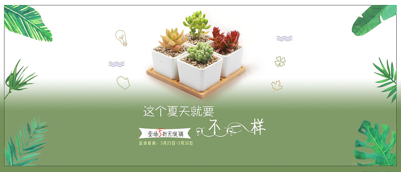 多肉植物