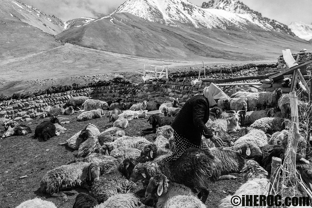 帕米尔的横纹（图ZMTE3MDA3NTYw） - 人文/纪实摄影 - 站酷设计师海螺壳原创素材 - 站酷ZCOOL