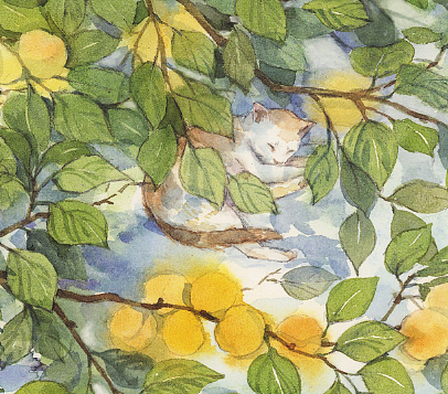 夏天（图ZMTE0MTAxNTE2） - 儿童插画 - 站酷设计师鱼风子原创素材 - 站酷ZCOOL